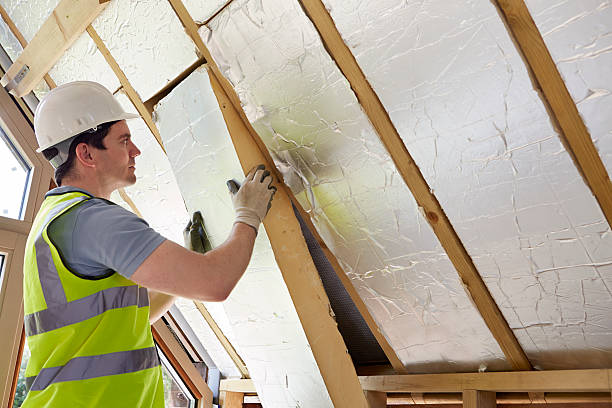 Best Commercial Insulation in Reidsville, GA