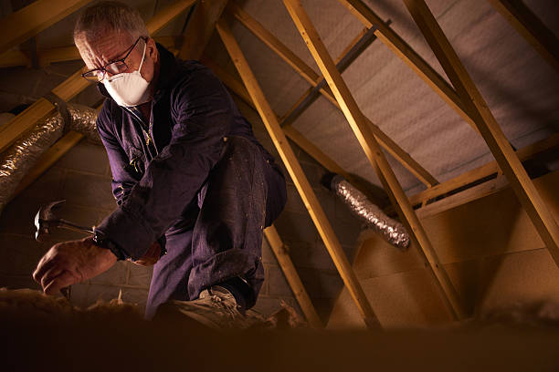 Best Insulation Materials and Products in Reidsville, GA
